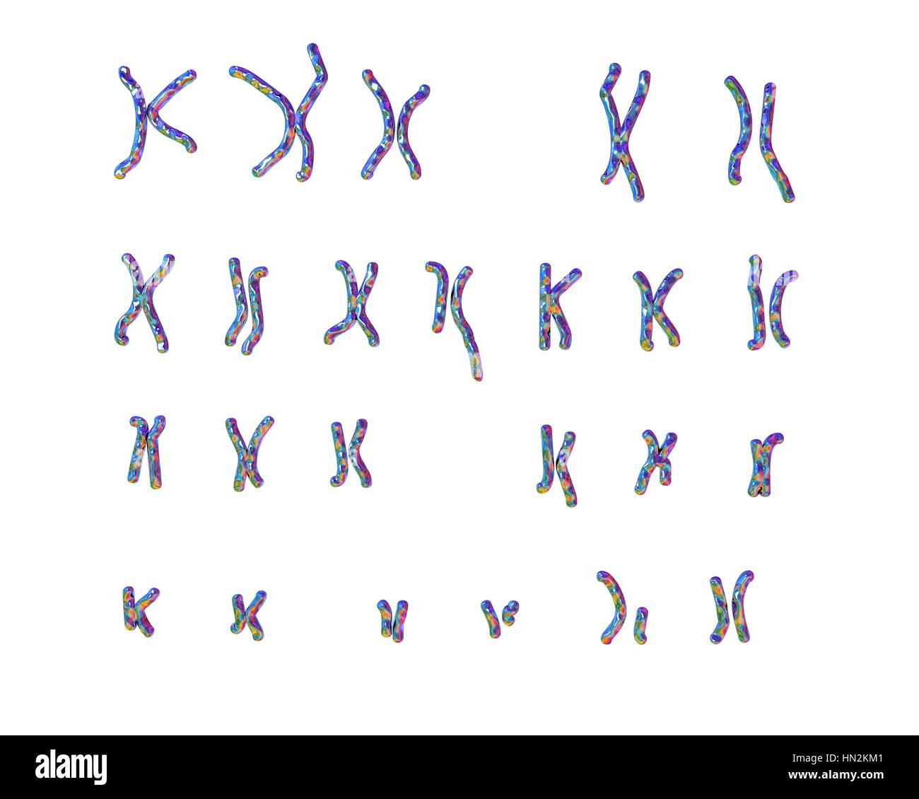 Philadelphia chromosome.Computer ilustración del cariotipo masculino o femenino (conjunto de cromosomas) un cromosoma defectuoso de cada uno de los pares 9 (centro), 22 (centro inferior).Los defectos,en el lado derecho,dos pares de cromosomas para causar leucemia mieloide crónica (LMC).Los 46 cromosomas del cariotipo humano son Foto de stock