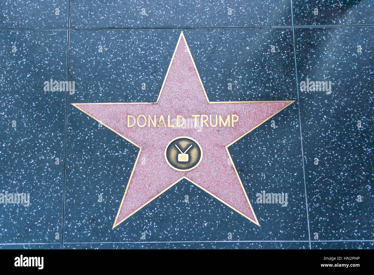 El paseo de la Fama de Hollywood, California, Estados Unidos de América. Futuro Presidente Donald Trump la estrella de la Fama. Donald John Trump,nacido en 1946. Foto de stock