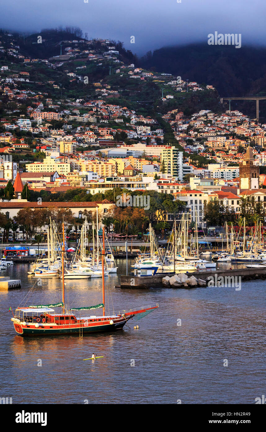El puerto de Funchal y vistas a la ciudad desde el mar, Madeira Fotografía  de stock - Alamy