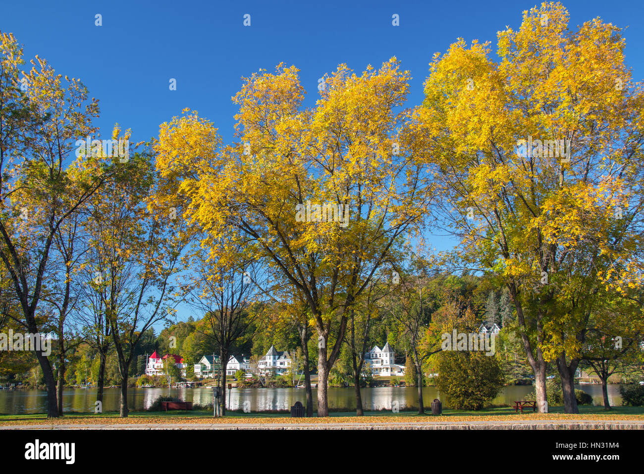 Árboles con colores de otoño amarillo y casas blancas en la ciudad a lo largo del Lake en Nueva Inglaterra las montañas Adirondack, Nueva York, EE.UU. Foto de stock