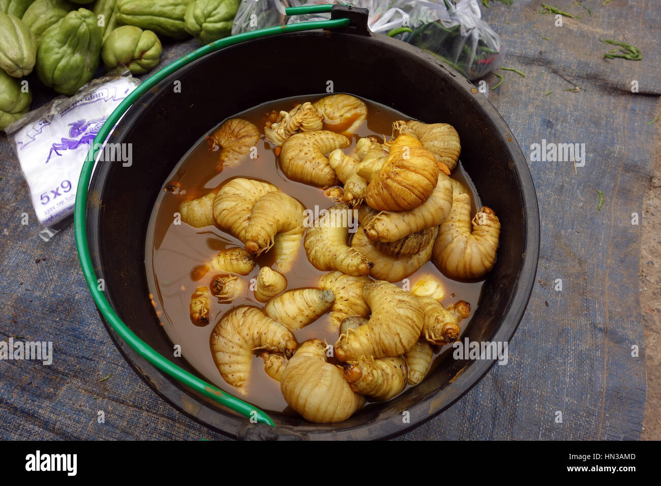 Fat gusanos, mercado en Myanmar Foto de stock