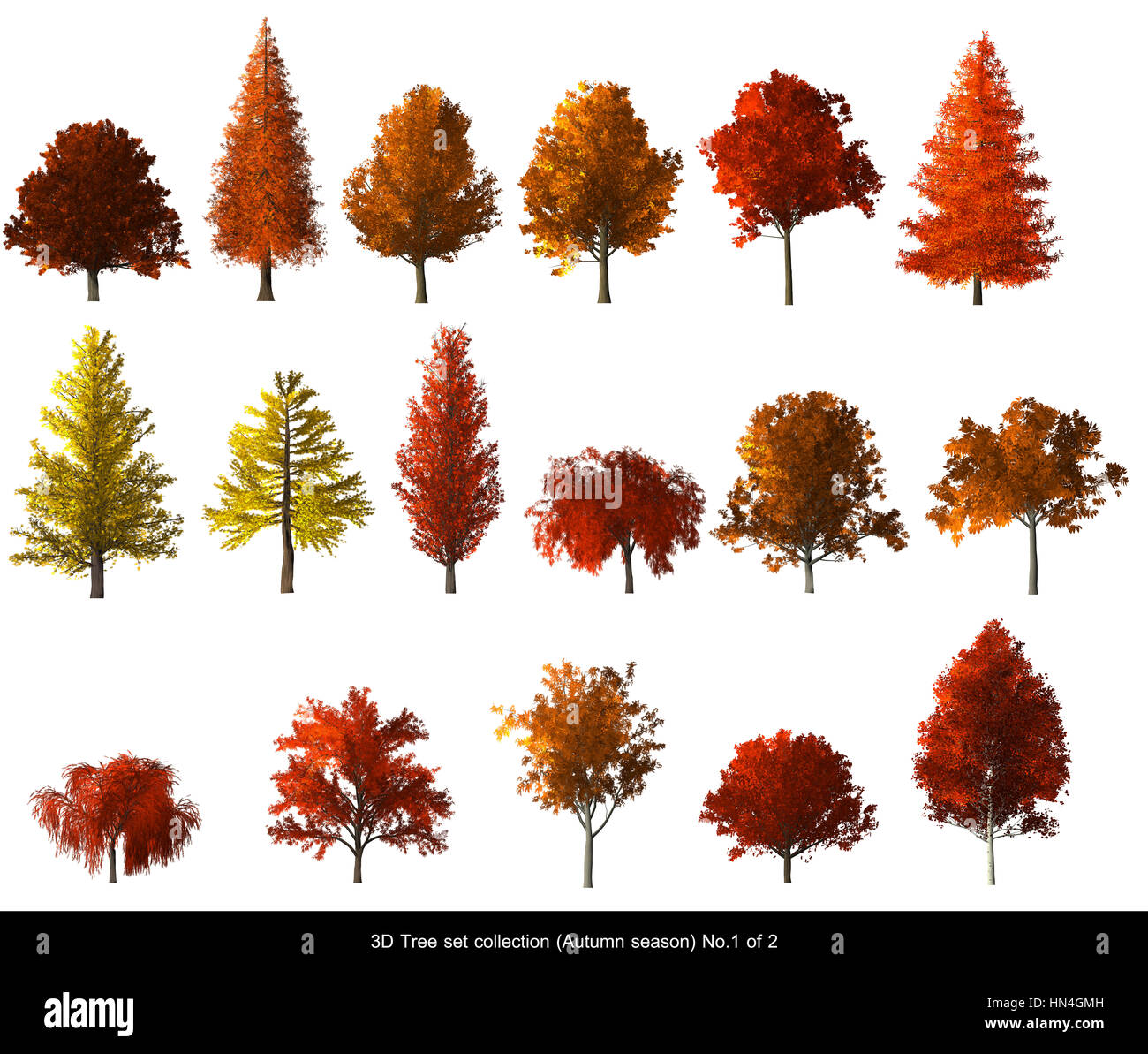 Árbol de hojas rojas de otoño temporada de arquitectura paisajista, 3D árbol  aislado en blanco No.1 Fotografía de stock - Alamy