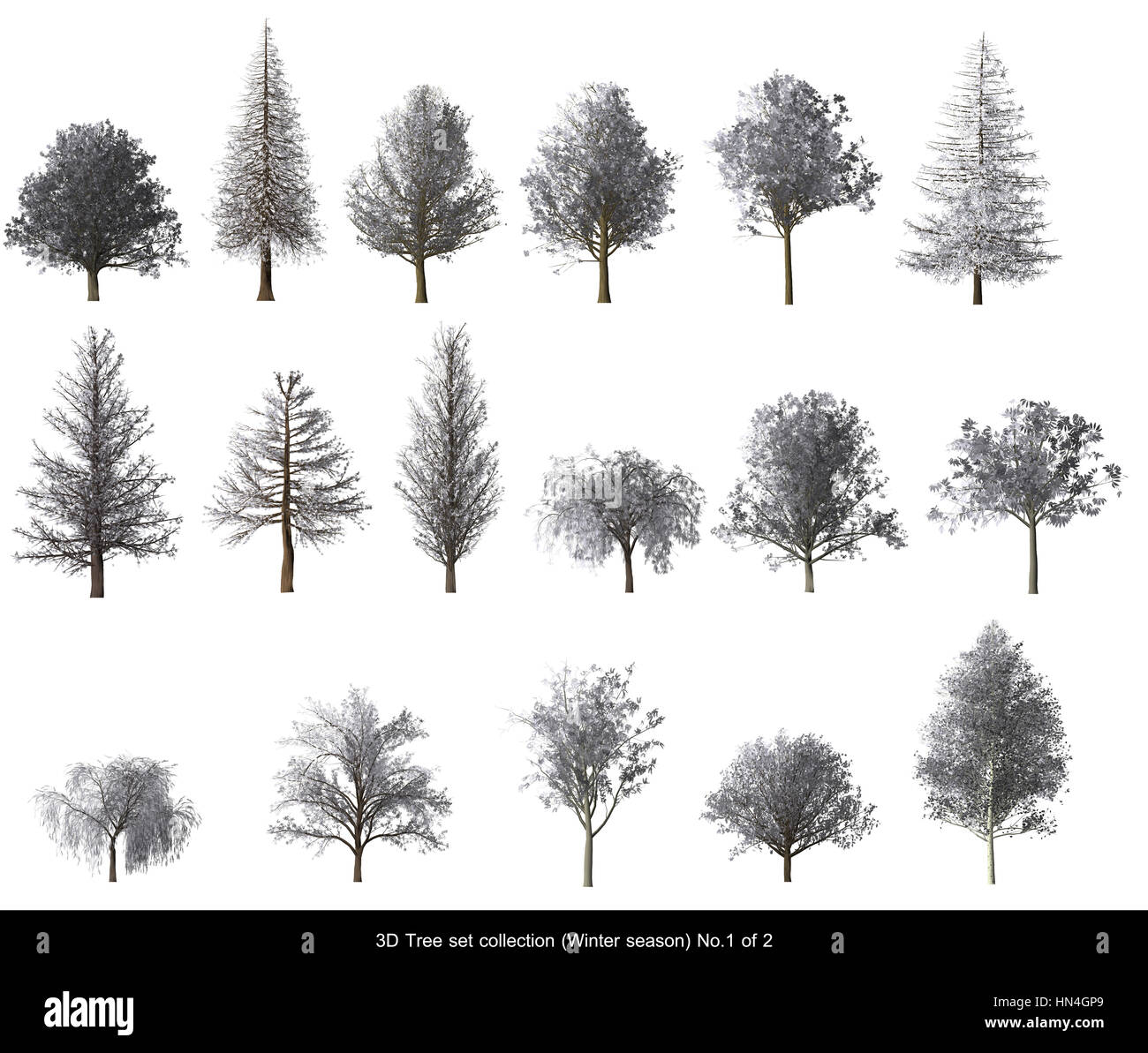 Hoja blanca nieve invierno árbol establecido para la arquitectura de