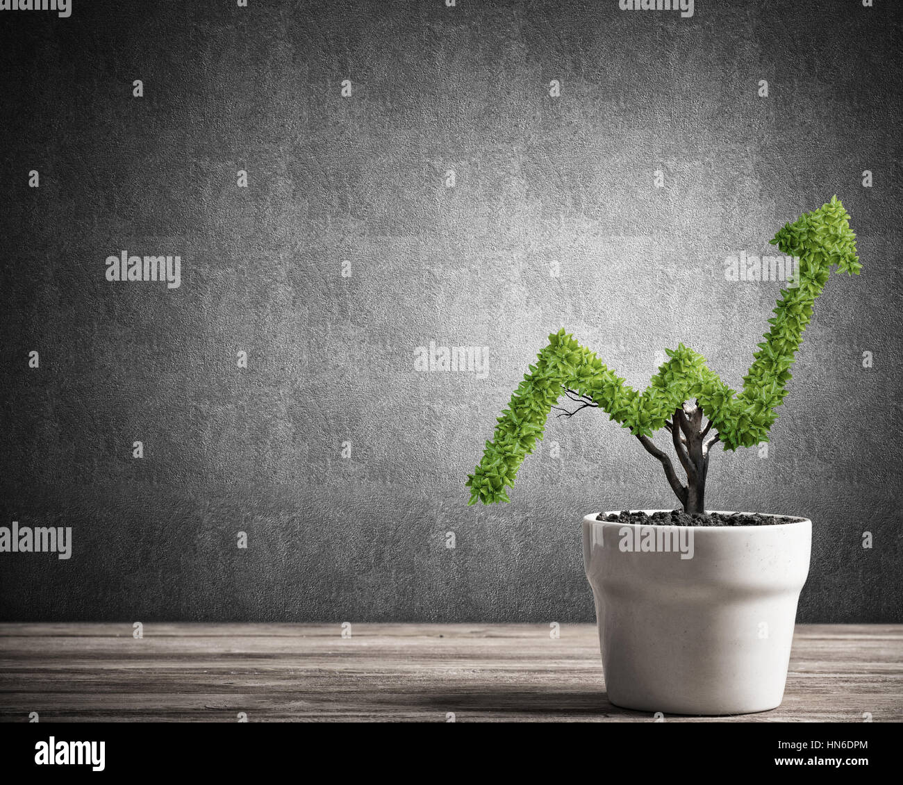 Pequeña planta en maceta en forma creciente el gráfico Fotografía de stock  - Alamy