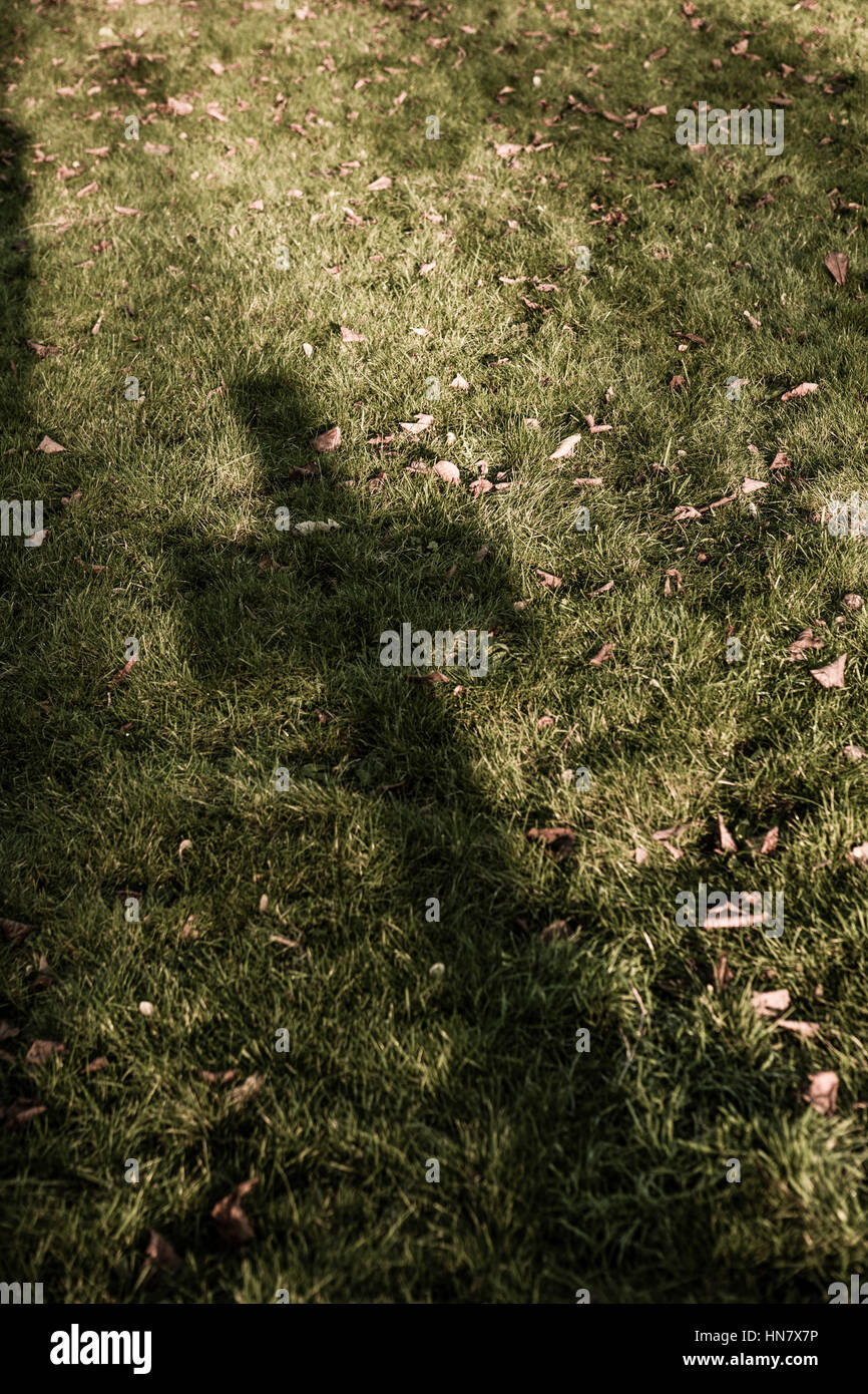 Una iglesia cementerio con lápidas, cruces y sombras profundas en la luz de la tarde con teh sombra de un fundido cruzado sobre la hierba. Foto de stock