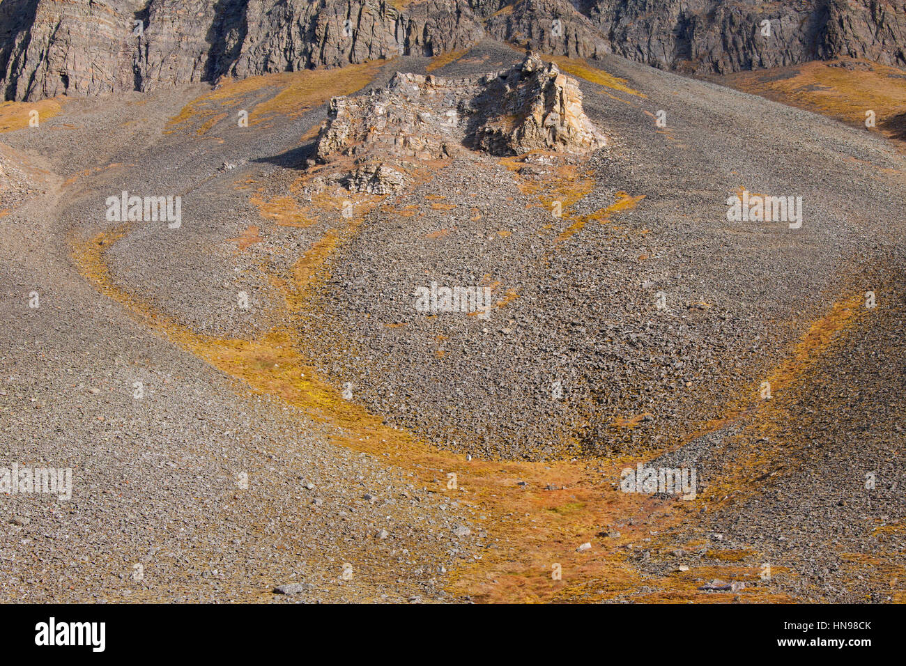 Scree debajo de formaciones rocosas erosionadas en Adventdalen, Longyearbyen, Svalbard / Spitsbergen Foto de stock