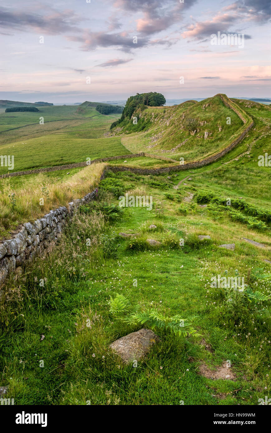 Amanecer En El Muro De Los Adrianos, Cumbria Del Norte, Inglaterra Del Norte Foto de stock