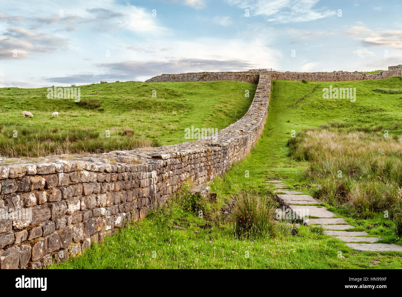 Amanecer En El Muro De Los Adrianos, Cumbria Del Norte, Inglaterra Del Norte Foto de stock