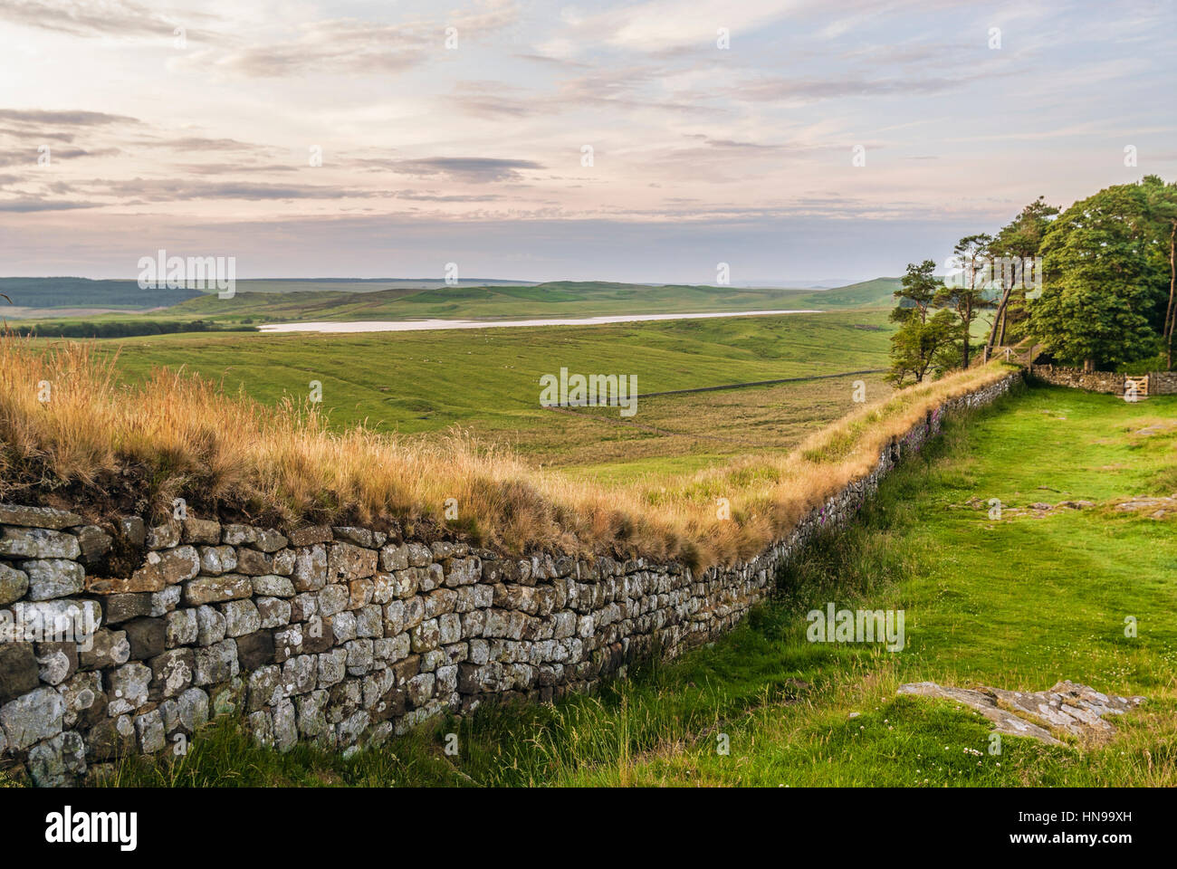 Amanecer En El Muro De Los Adrianos, Cumbria Del Norte, Inglaterra Del Norte Foto de stock