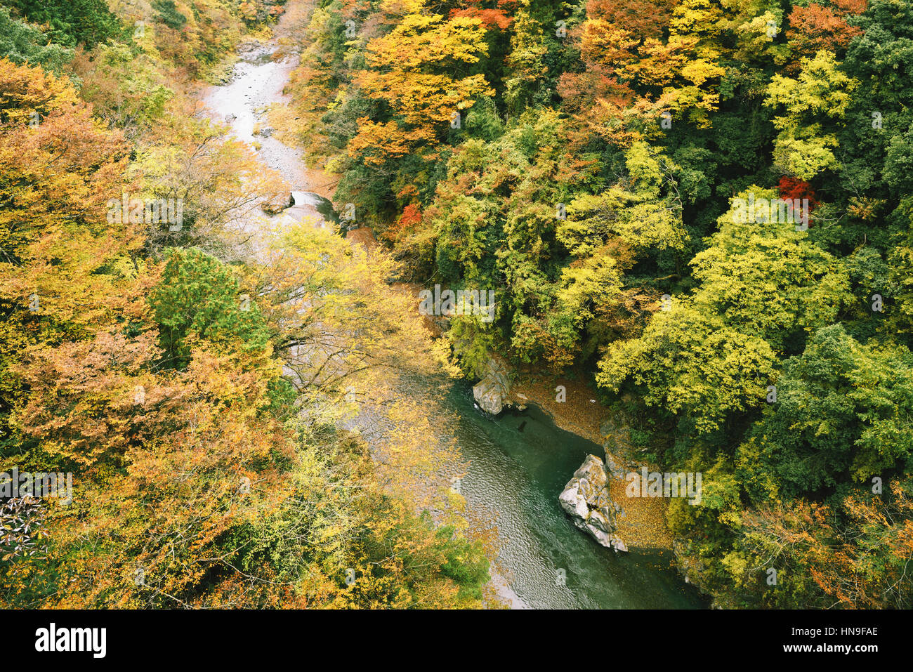 Corriente de agua y las hojas de otoño en Okutama, Tokio, Japón Foto de stock