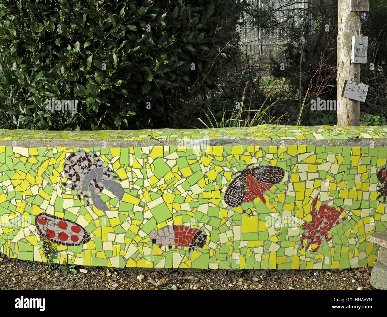 Mosaico de pared verde jardín adornado con mariposas y libélulas Foto de stock