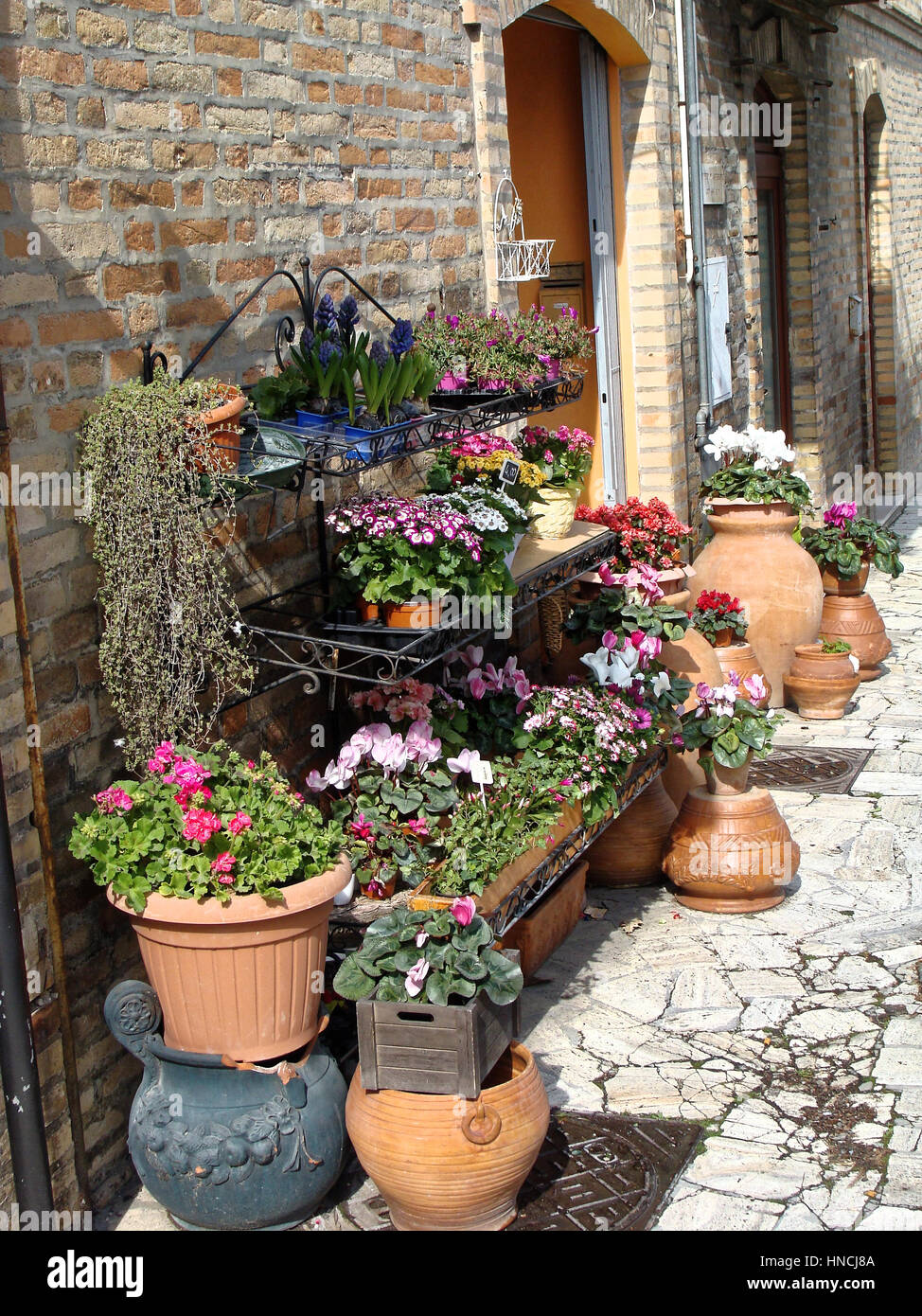 Indígena actualizar condado Home diversas flores en macetas. Diseño patios italiano Fotografía de stock - Alamy Indígena actualizar condado Home diversas flores en macetas. Diseño patios italiano Fotografía de stock - Alamy