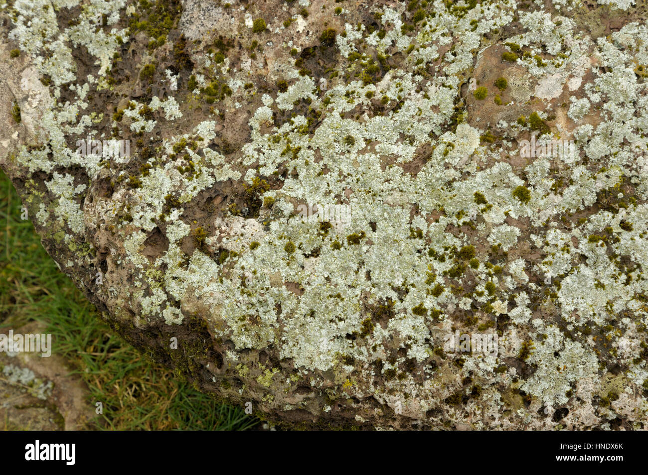 Rocas cubiertas de musgo y líquenes en la parte superior del valle de Usk Foel debajo del ventilador Foto de stock