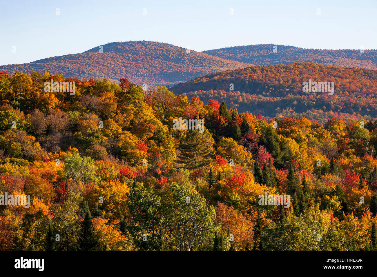 Los colores de otoño, bosques caducifolios mixtos Los bosque de