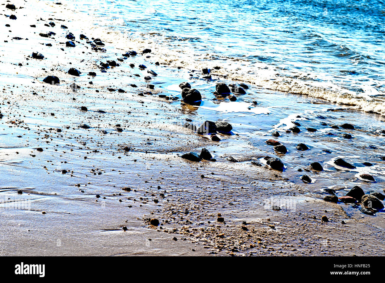 Soy Muschelschalen Meeresstrand; berberechos en la playa. Foto de stock