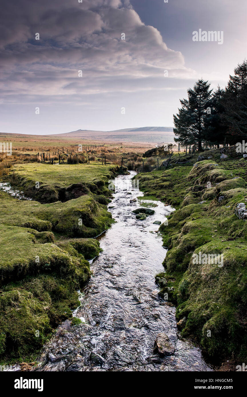 Un pequeño río atraviesa tierra pantanosa en terrenos Tor, designada como una Zona de Excepcional Belleza Natural en Bodmin Moor en Cornwall. Foto de stock