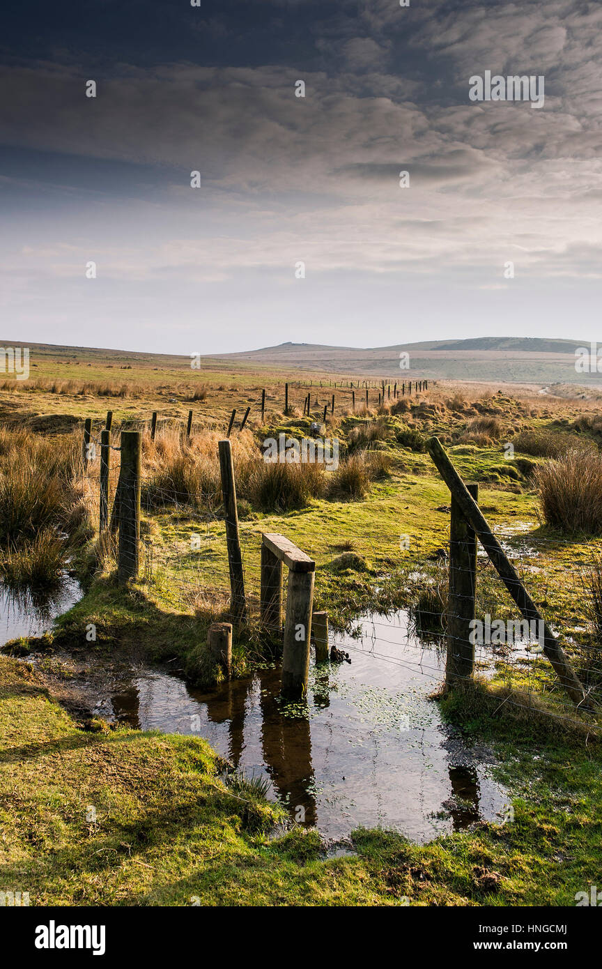 Terreno pantanoso, anegado en terrenos Tor, designada como una Zona de Excepcional Belleza Natural en Bodmin Moor en Cornwall. Foto de stock