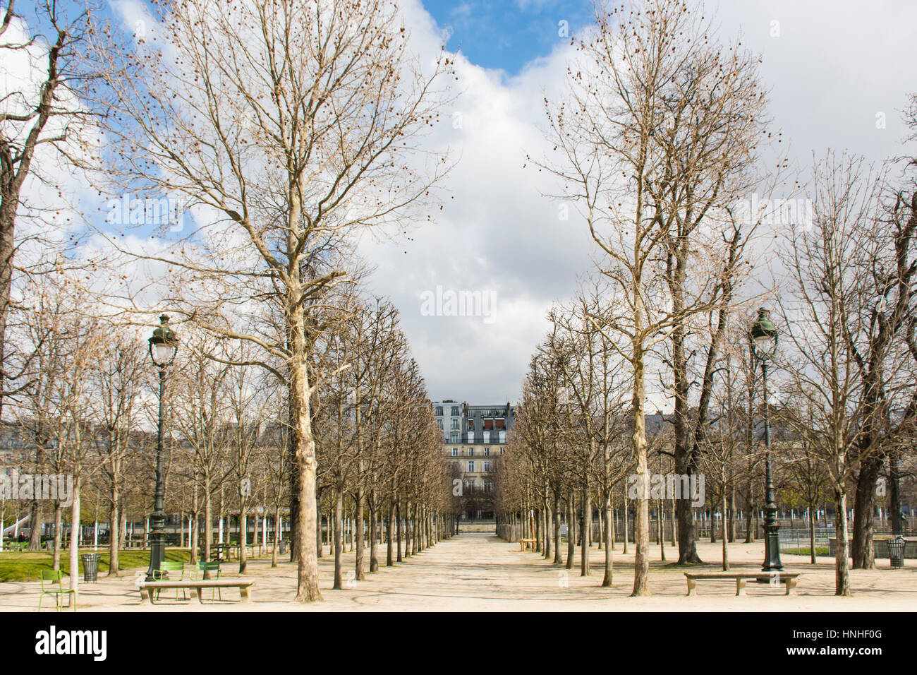 Jardin des Tuilleries, París, Francia, Europa Foto de stock