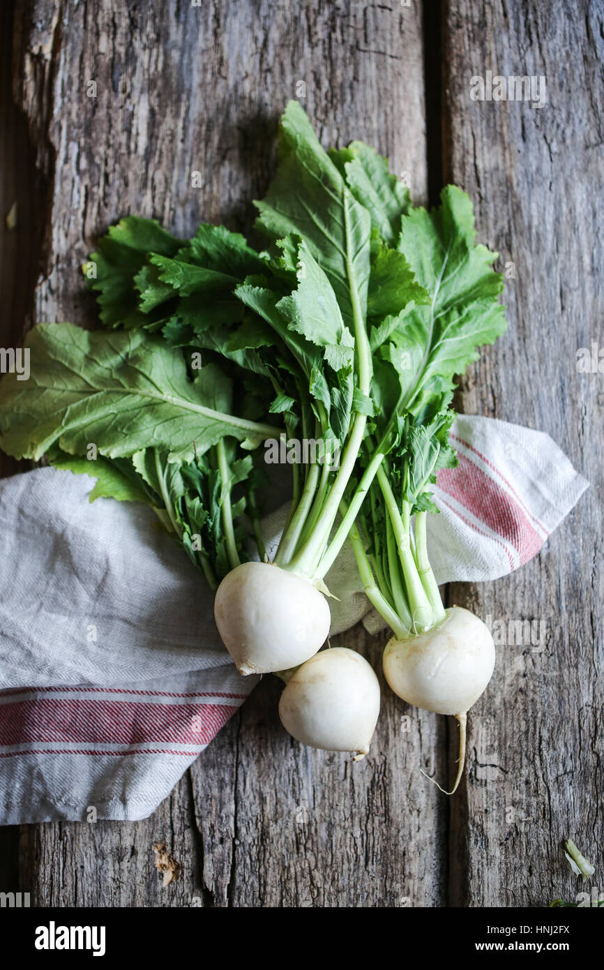 42+ Remolacha Blanca Receta Gif