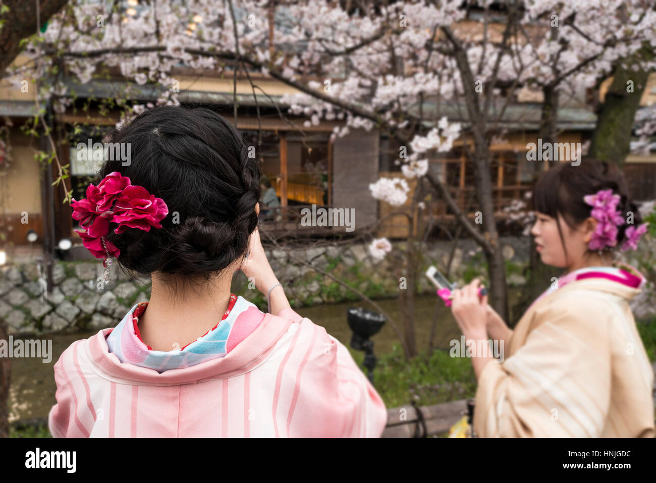 Dos jóvenes mujeres en Kimono tomando fotos de los cerezos en flor (Sakura) con su teléfono móvil en el distrito Gion, Kioto, Japón Foto de stock