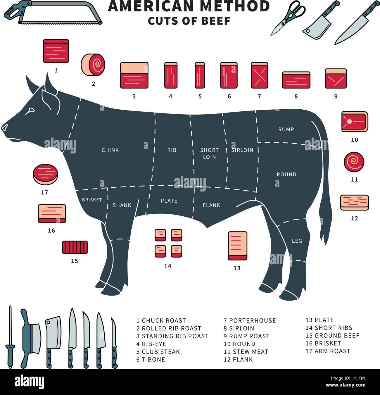Línea delgada diseño plano de trozos de carne de vacuno con set de