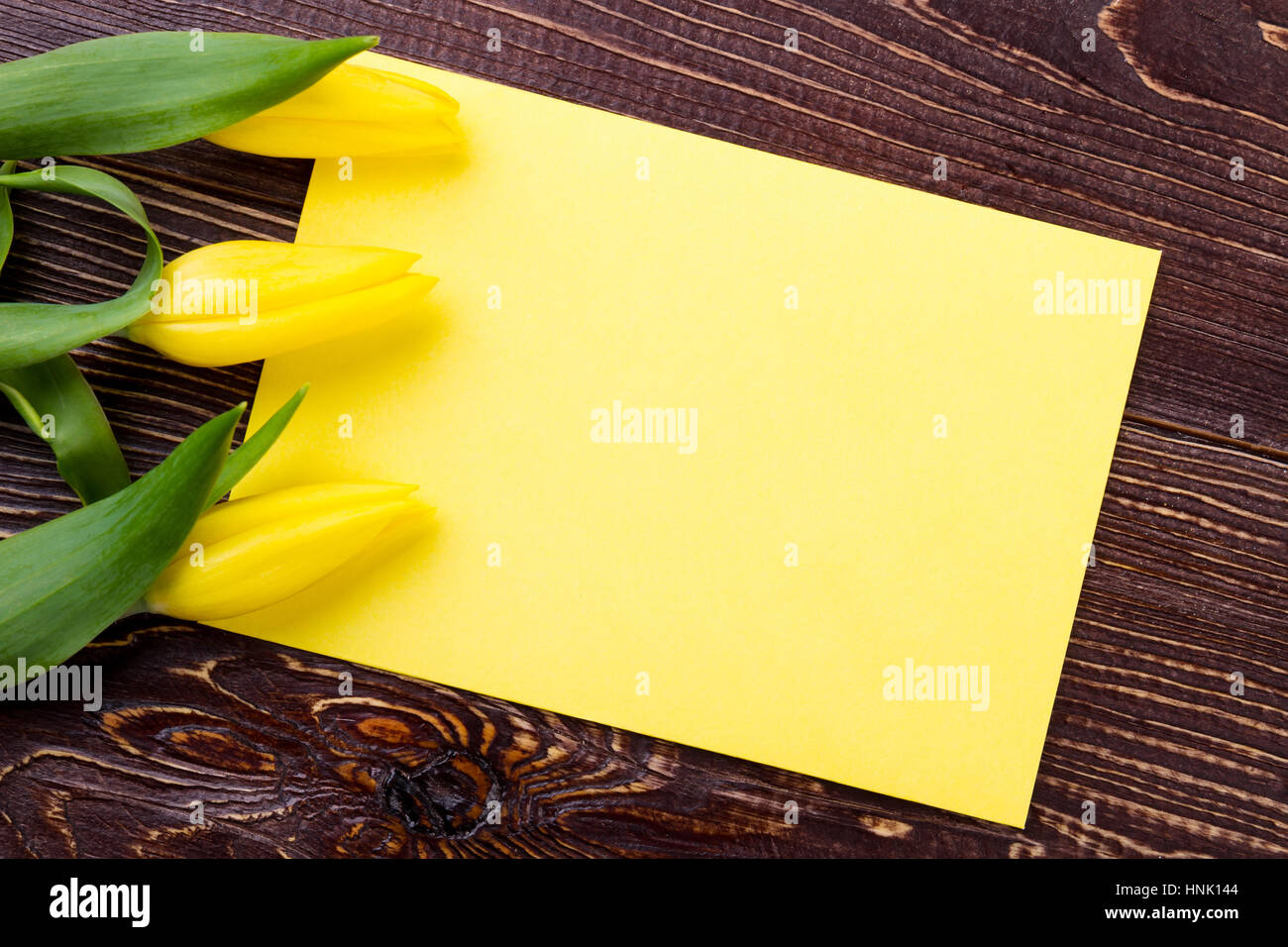 Papel de felicitación en blanco y tulipanes. Foto de stock