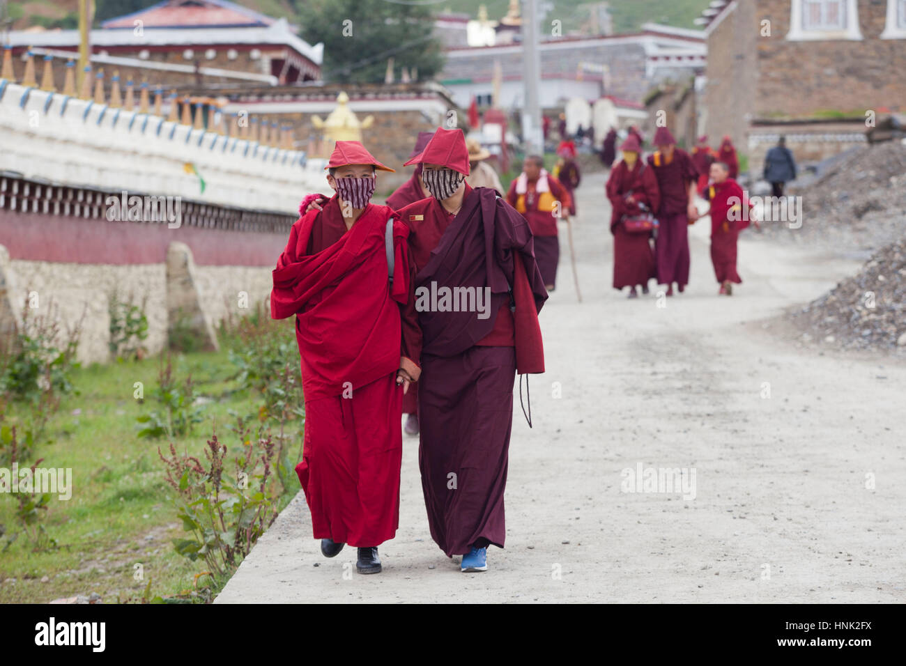 Monjas y monjes participar en los rituales de oración en el convento de monjas budistas tibetanos Tagong. Foto de stock