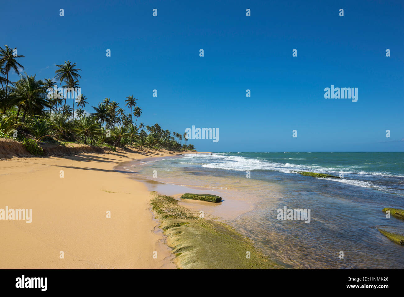 Rocas expuestas PLAYA playa PINONES LOIZA PUERTO RICO Fotografía de