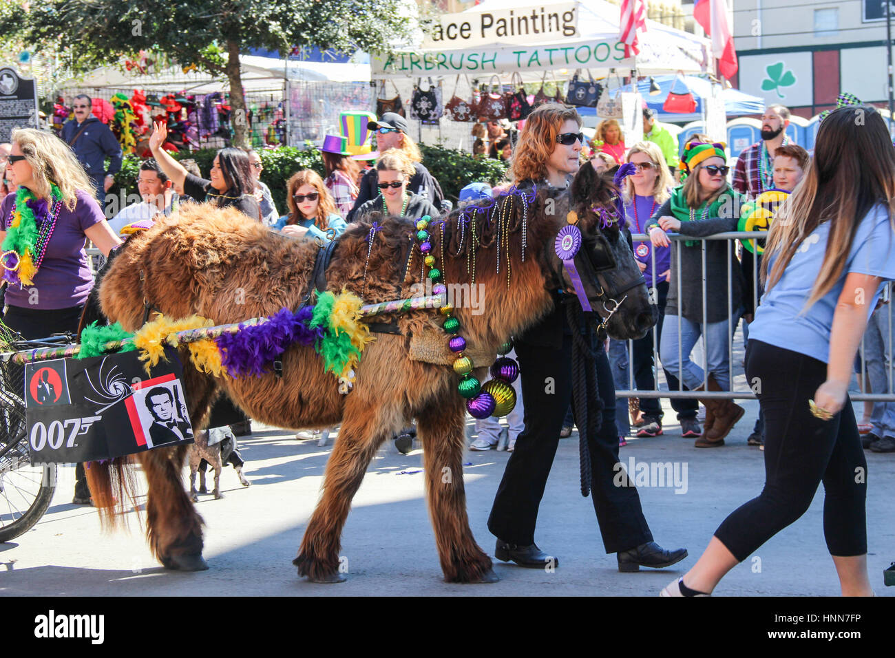 Fotos del desfile de mascotas en el Mardi Gras Galveston Krewe de Barkus & Meoux Foto de stock