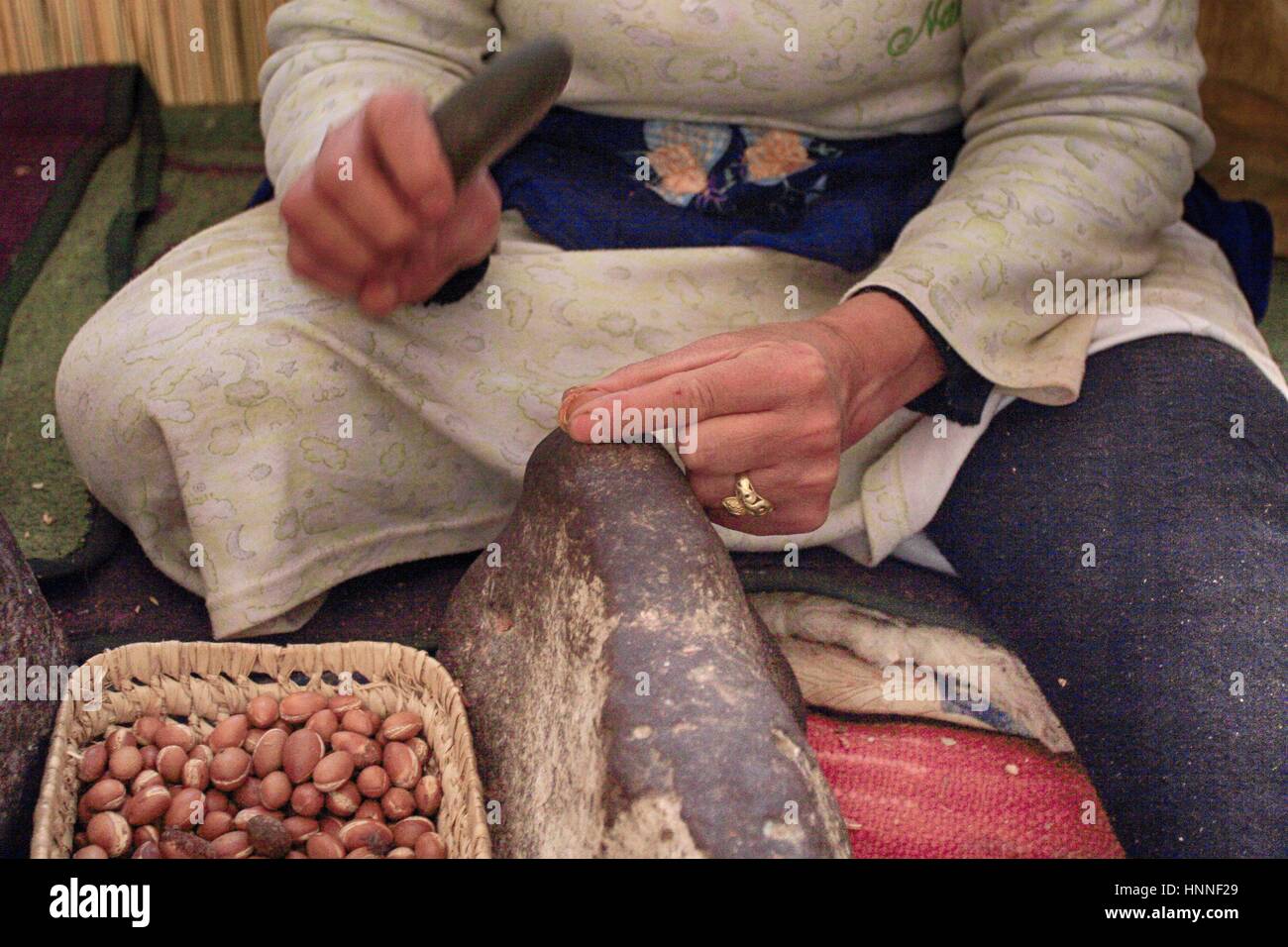 La producción de aceite de argán en cooperativa de mujeres en Marruecos Foto de stock