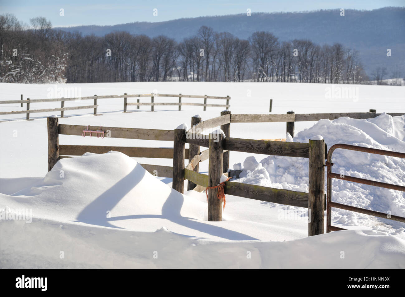 Los campos de granja con un vallado en pasto en desviado en invierno, la nieve de los fondos agrícolas, árboles y montañas estériles, copie el espacio, Pennsylvania, Pensilvania, EE.UU. Foto de stock