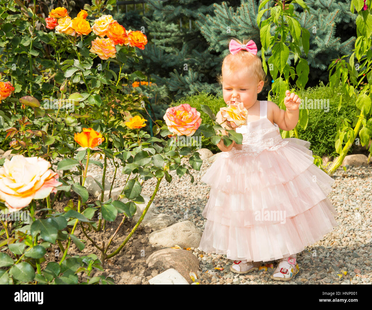 Feliz chica bonita kid celebrar su cumpleaños con rosa de decoración en un hermoso jardín. Emociones humanas positivas sentimientos de alegría. Foto de stock