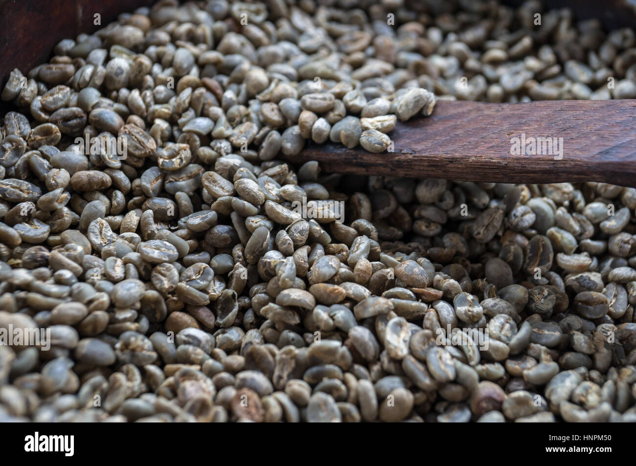 Los granos de café sin tostar verde Foto de stock