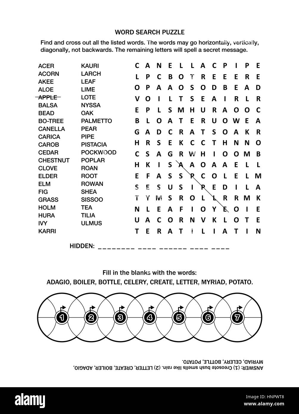 Puzzle página con dos juegos de palabras (en inglés) para adultos o niños.  Blanco y negro, tamaño A4 o carta. Respuesta incluido Imagen Vector de  stock - Alamy