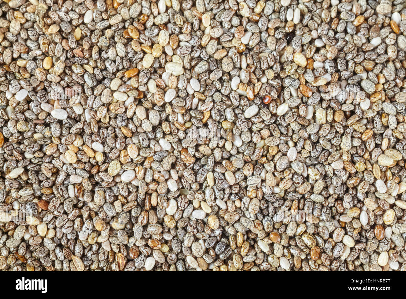 Extreme Picture cerca de chia semillas, alimentos ricos en ácidos grasos omega-3. Foto de stock