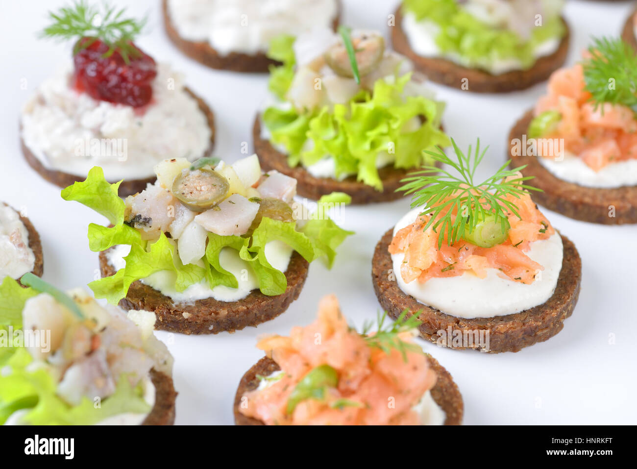 Sabrosos pescados canapés con salmón ahumado tartar en rábano picante, mousse de trucha y arenque con arándanos ensalada de Pumpernickel Bread Foto de stock