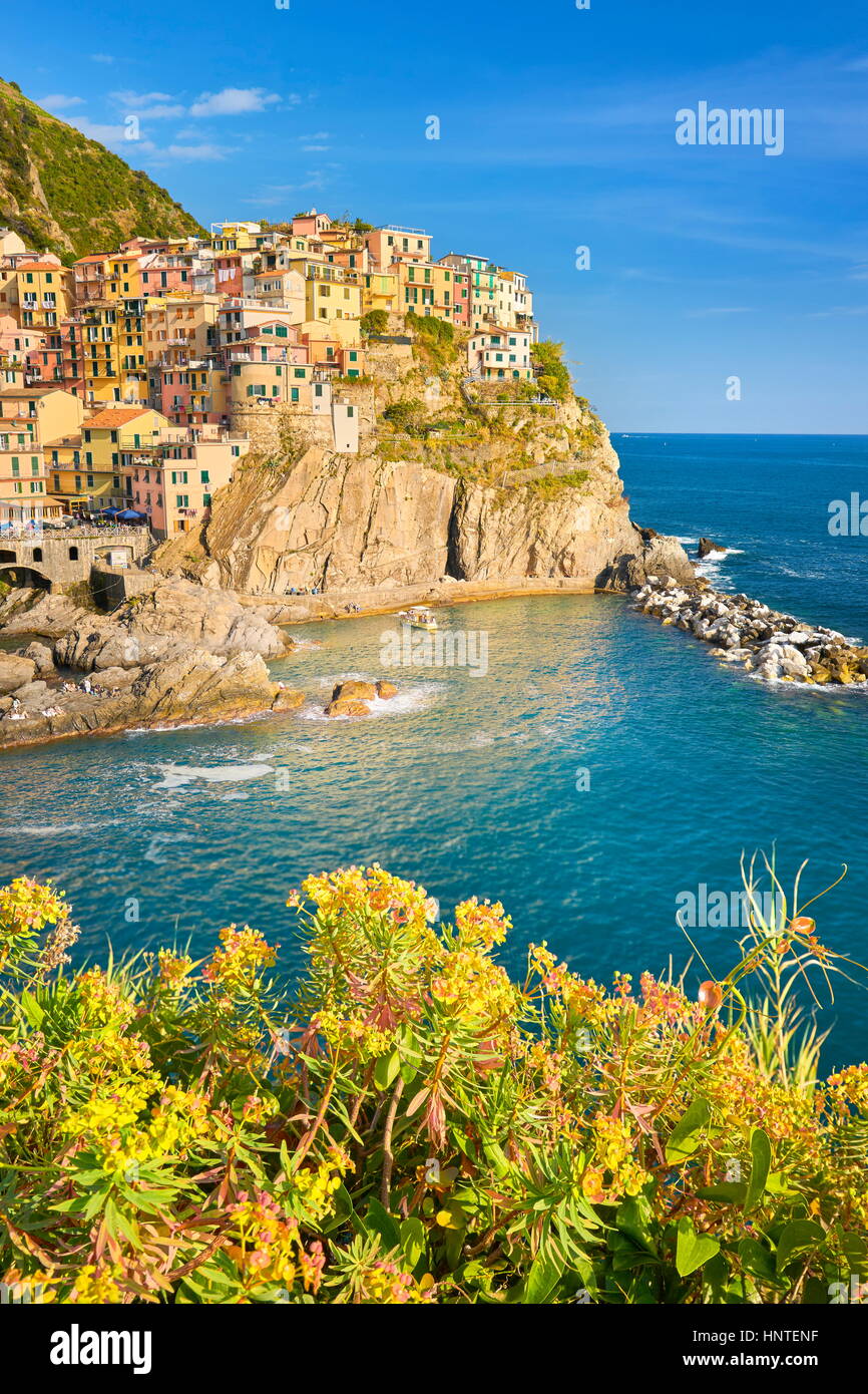 Manarola, Cinque Terre, Liguria, Italia Foto de stock