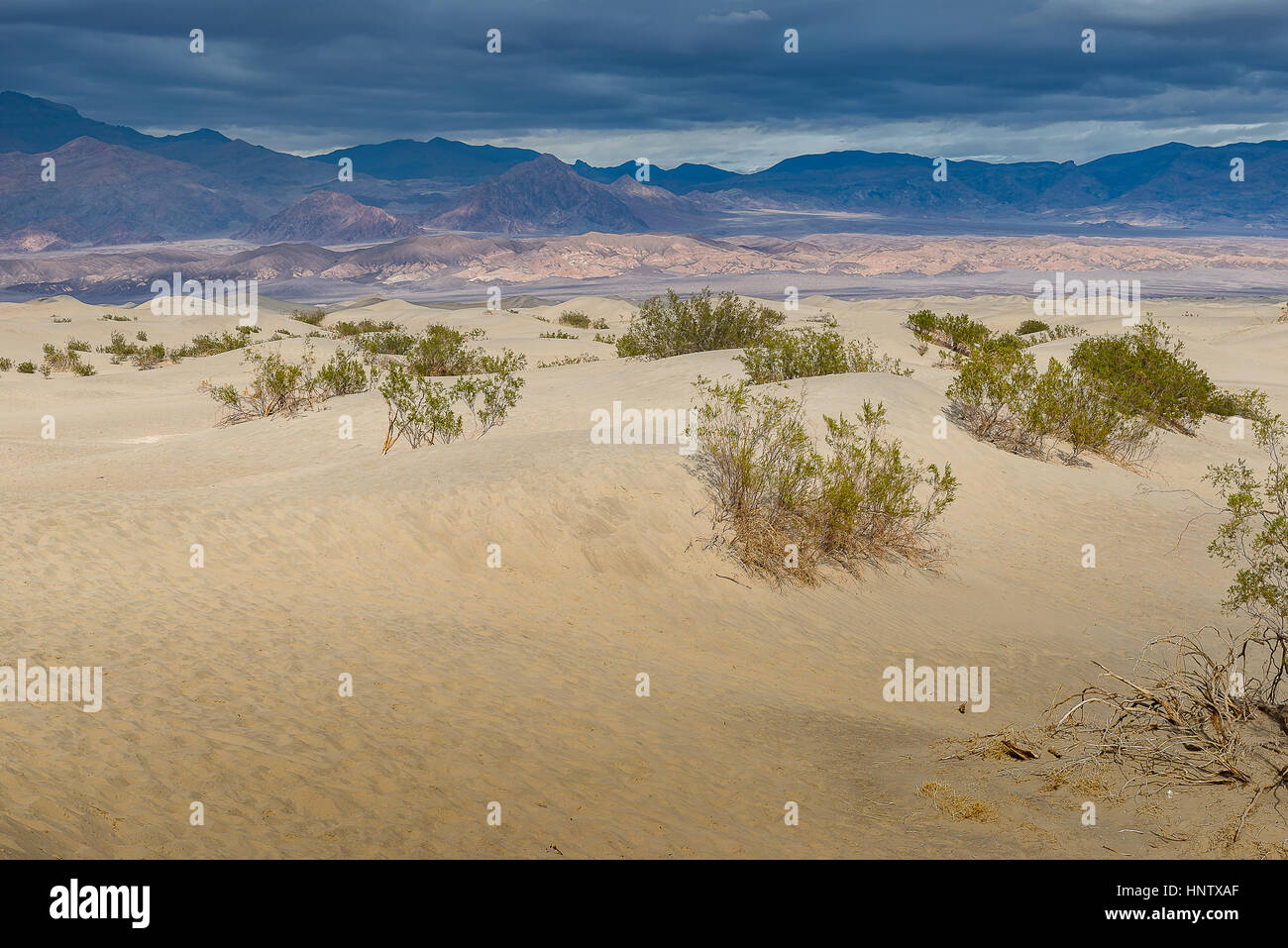 Un paisaje impresionante fotografía de Mesquite Flat Dunas de Arena, el Parque Nacional Valle de la muerte Foto de stock
