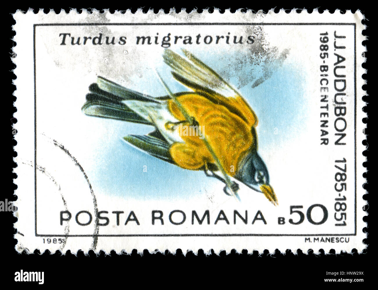 Sello de Rumanía en las aves de J.J.Audubon serie publicada en 1985 Foto de stock