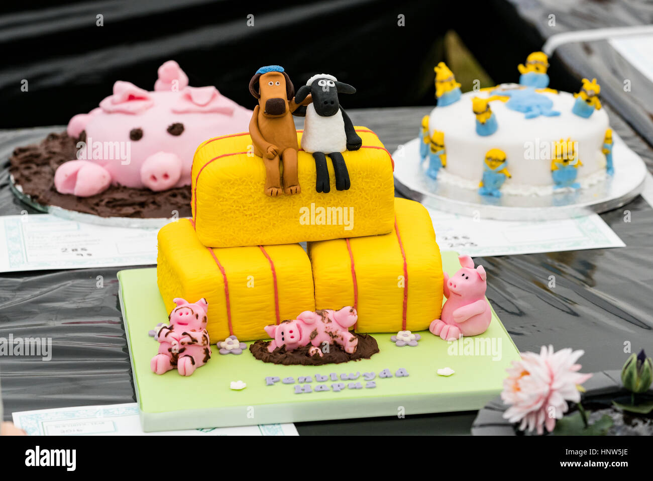 Entrada en el pastel de cumpleaños de competición en el Anglesey Show Foto de stock