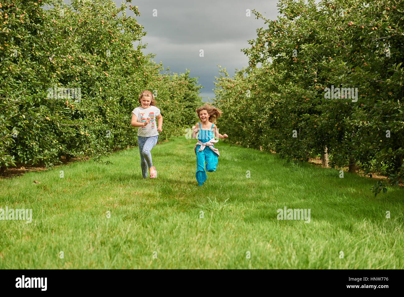 Las niñas corriendo en Apple Orchard Foto de stock