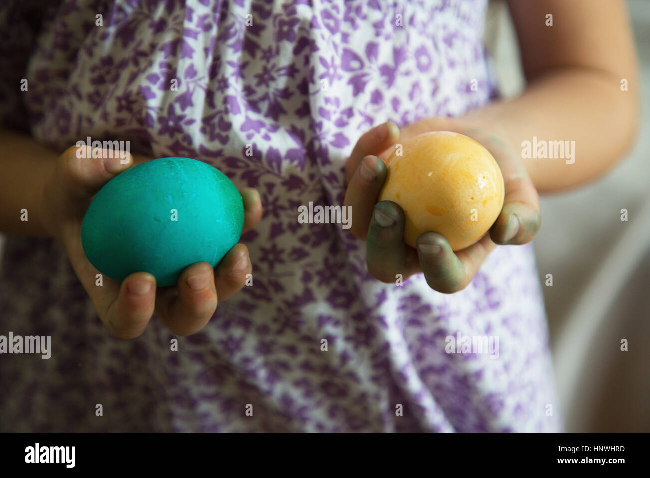 Sección intermedia de Chica sujetando el azul y el amarillo teñido de huevos de Pascua Foto de stock