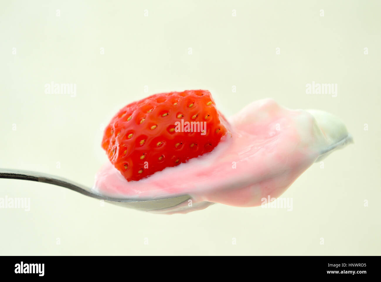 Cuchara llena con yogur y una fresa en la parte superior - aislado sobre fondo brillante Foto de stock