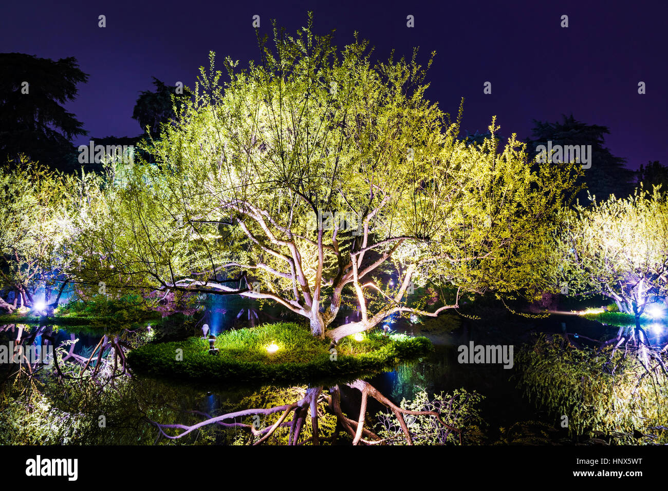 Escena nocturna de árboles en el Lago del Oeste en Hangzhou Foto de stock