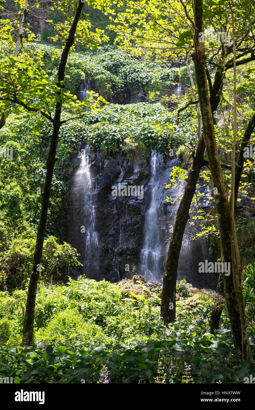 Rainforest cascada que cae sobre la roca, la Isla de la reunión Foto de stock