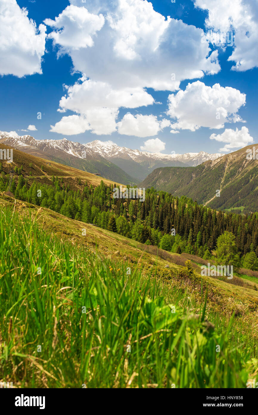 Vistas a los Alpes Suizos desde la cima de la montaña Rinerhorn, Davos, Grison, Suiza Foto de stock