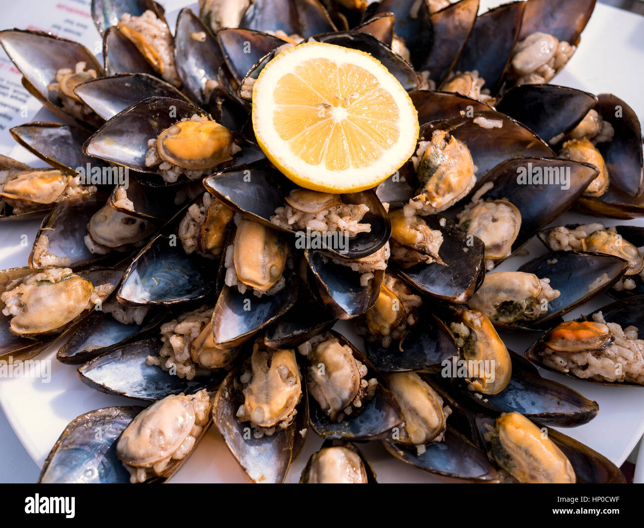 Montón de mejillones