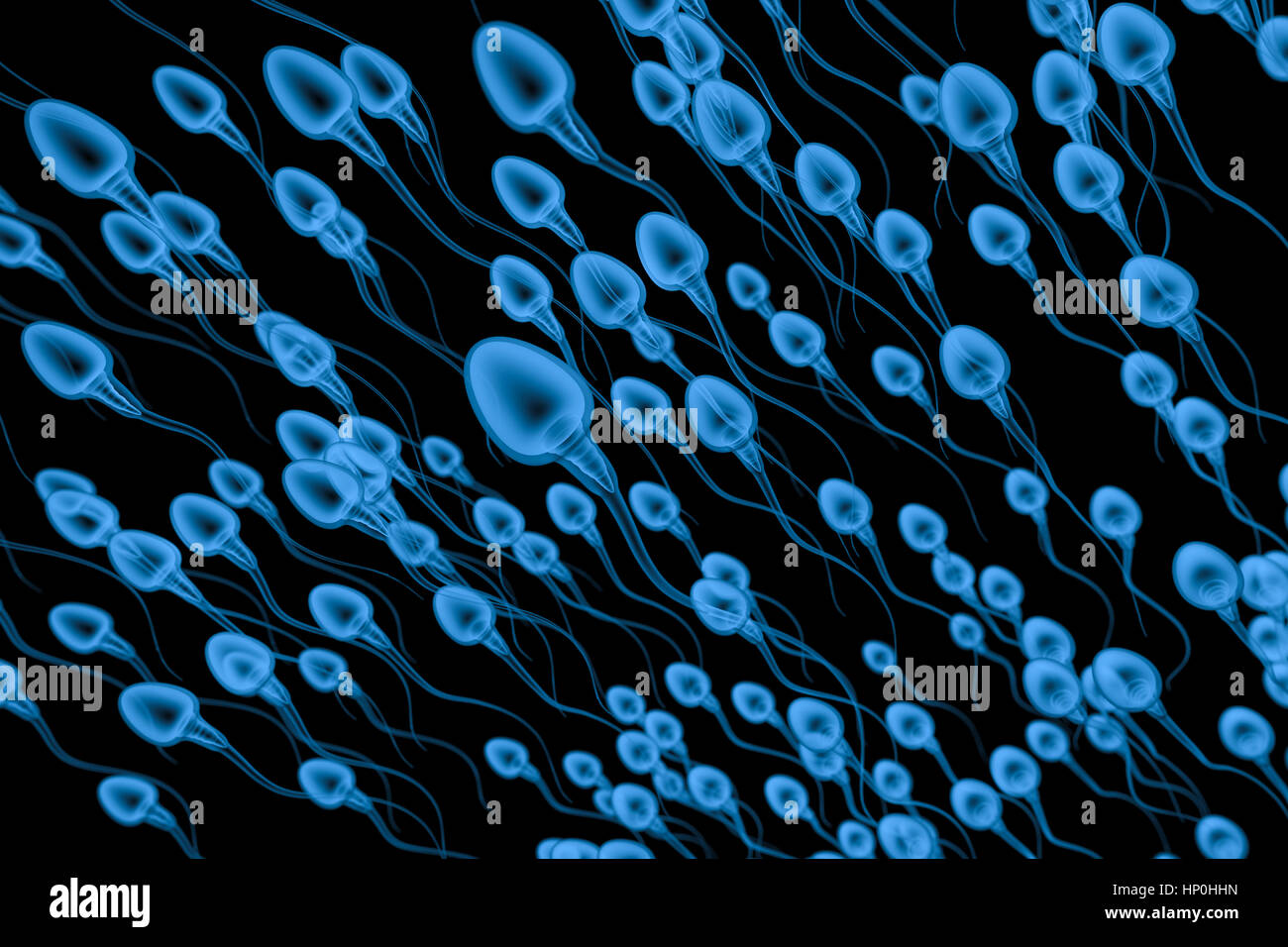 3D rendering x ray group de espermatozoides sobre fondo negro Foto de stock