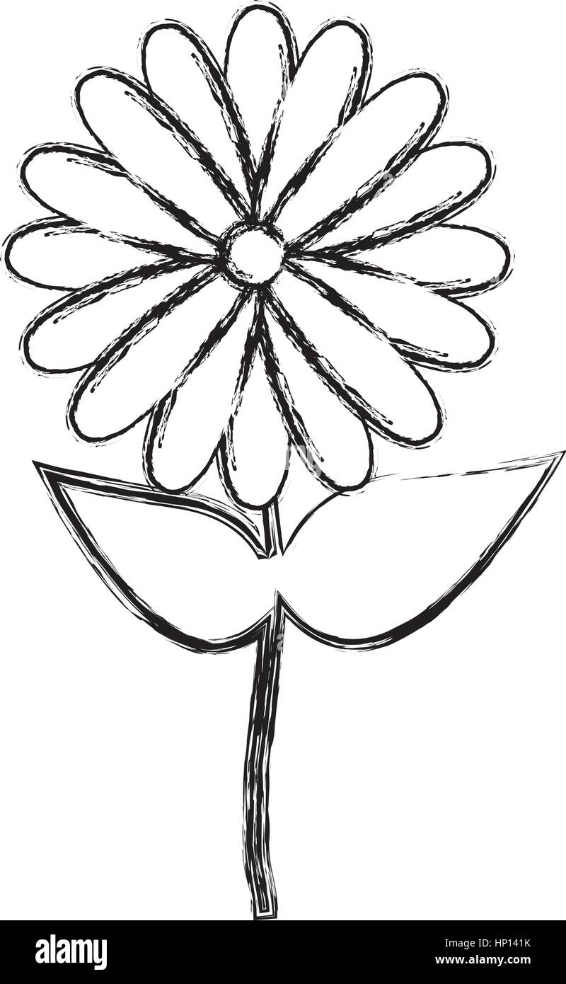 Silueta borrosa girasol icono floral diseño ilustración vectorial Imagen  Vector de stock - Alamy