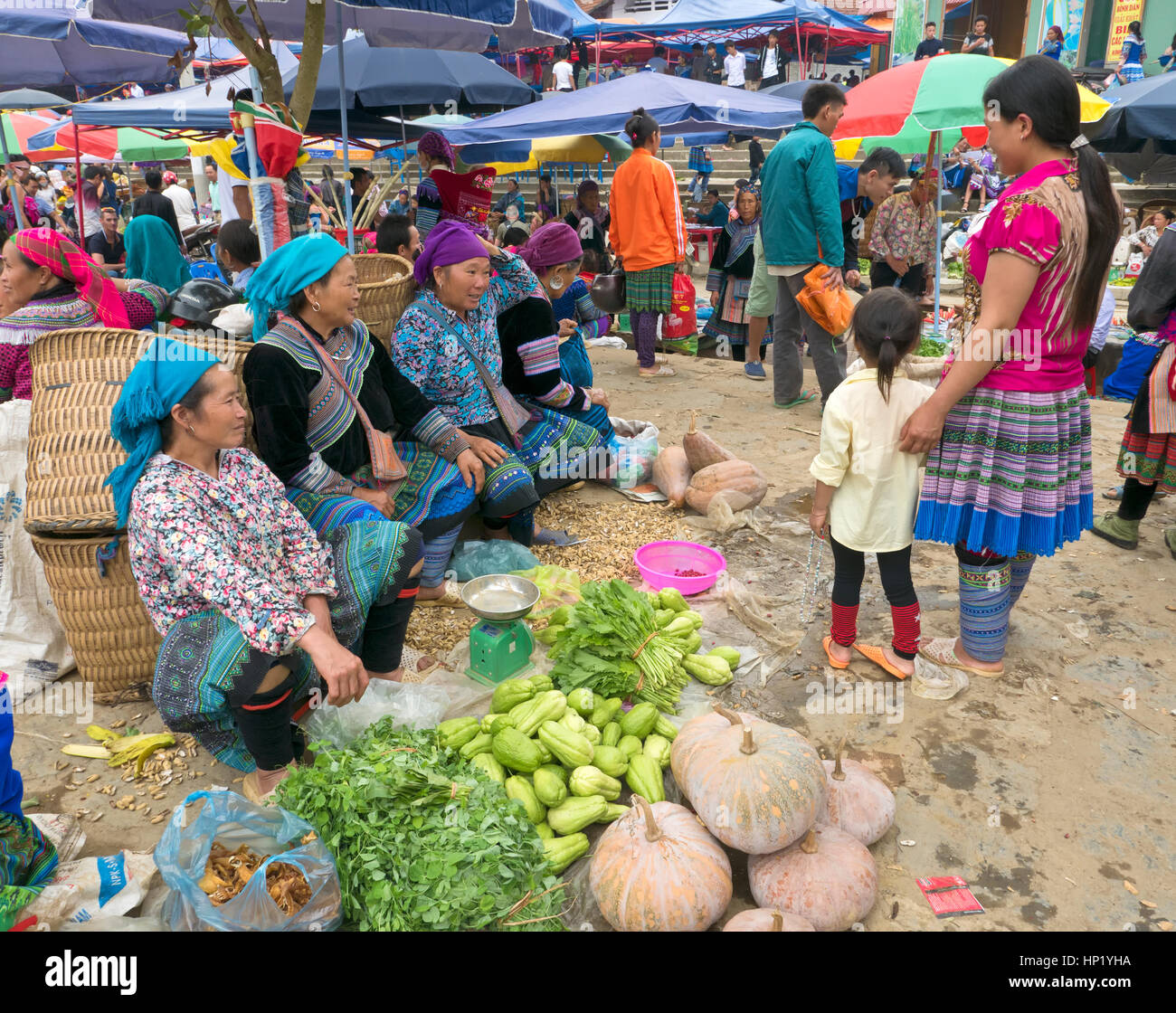 Los agricultores del mercado de Bac Ha, los agricultores nativos vendiendo sus verduras y hierbas cultivadas en casa vistiendo vestimentas nativas, conversación con amigos y clientes. Foto de stock